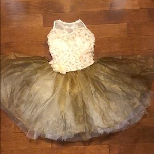 Ballet costume